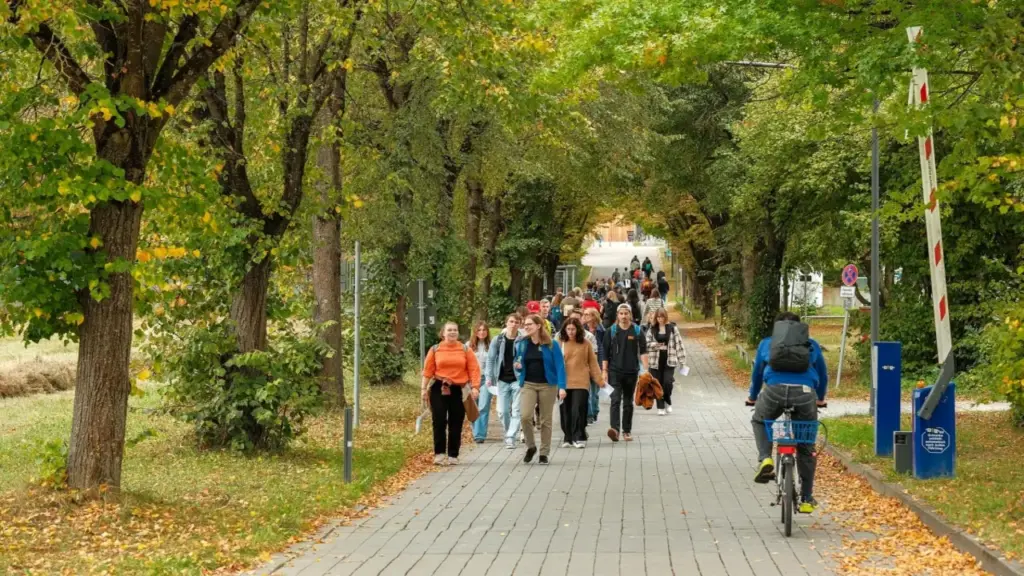 5 loại học bổng chính phủ Đức cho du học sinh Việt