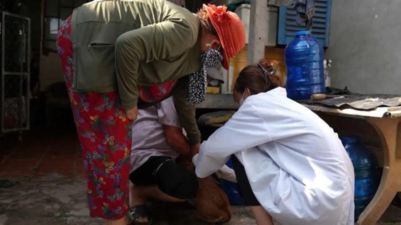 Bị chó cắn từ nhiều tháng trước, người đàn ông tử vong nghi do bệnh dại