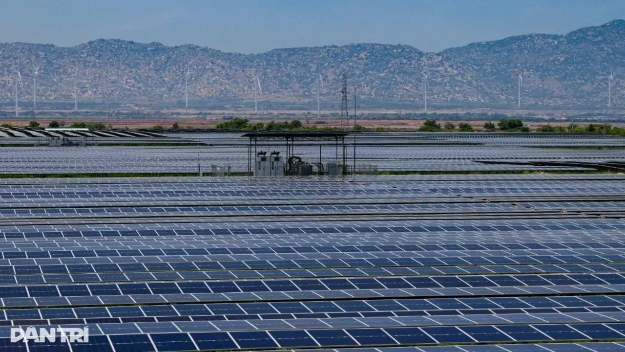 Doanh nghiệp điện mặt trời phân hóa mạnh: Kẻ báo lỗ, người lãi đậm