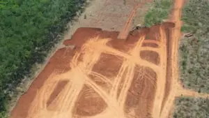 Đồng Nai: Bị xử phạt 30 triệu đồng vì làm biến dạng hơn 0,5 ha đất