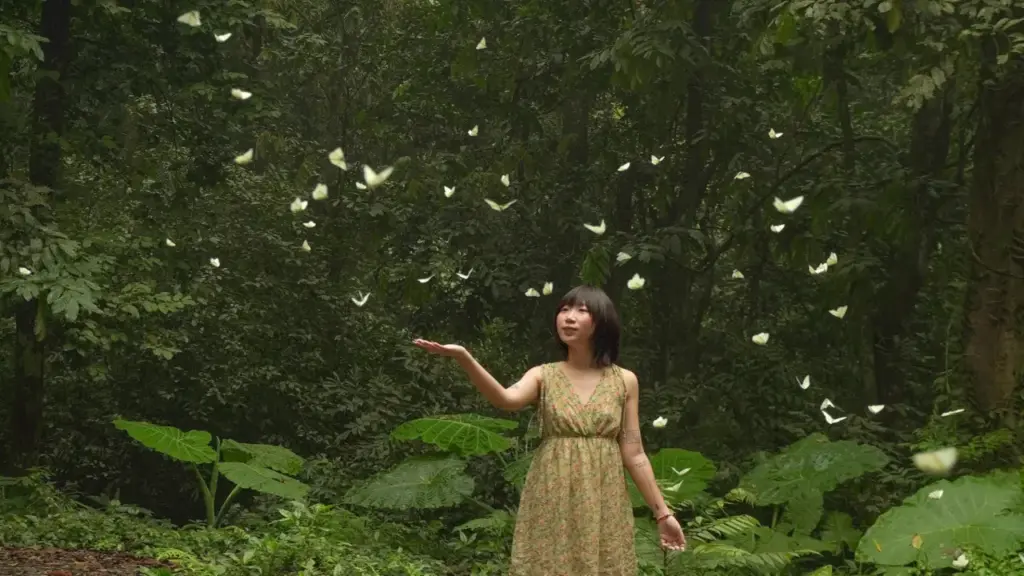 Khách đổ đến check in vườn Cúc Phương mùa bướm