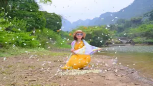 Khách Hà Nội dậy từ 4h, di chuyển 100km đến Cúc Phương chụp ảnh với bướm