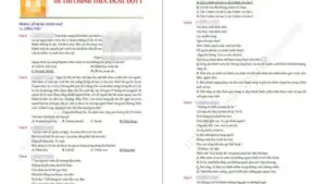 Lan truyền đề thi đánh giá năng lực tự biên 'giống hoàn toàn' đề chính thức