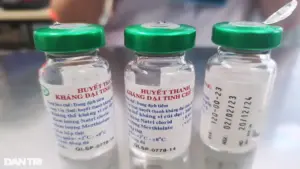 Một năm sau khi bị chó nhà cắn, cụ ông ở TPHCM phát bệnh dại