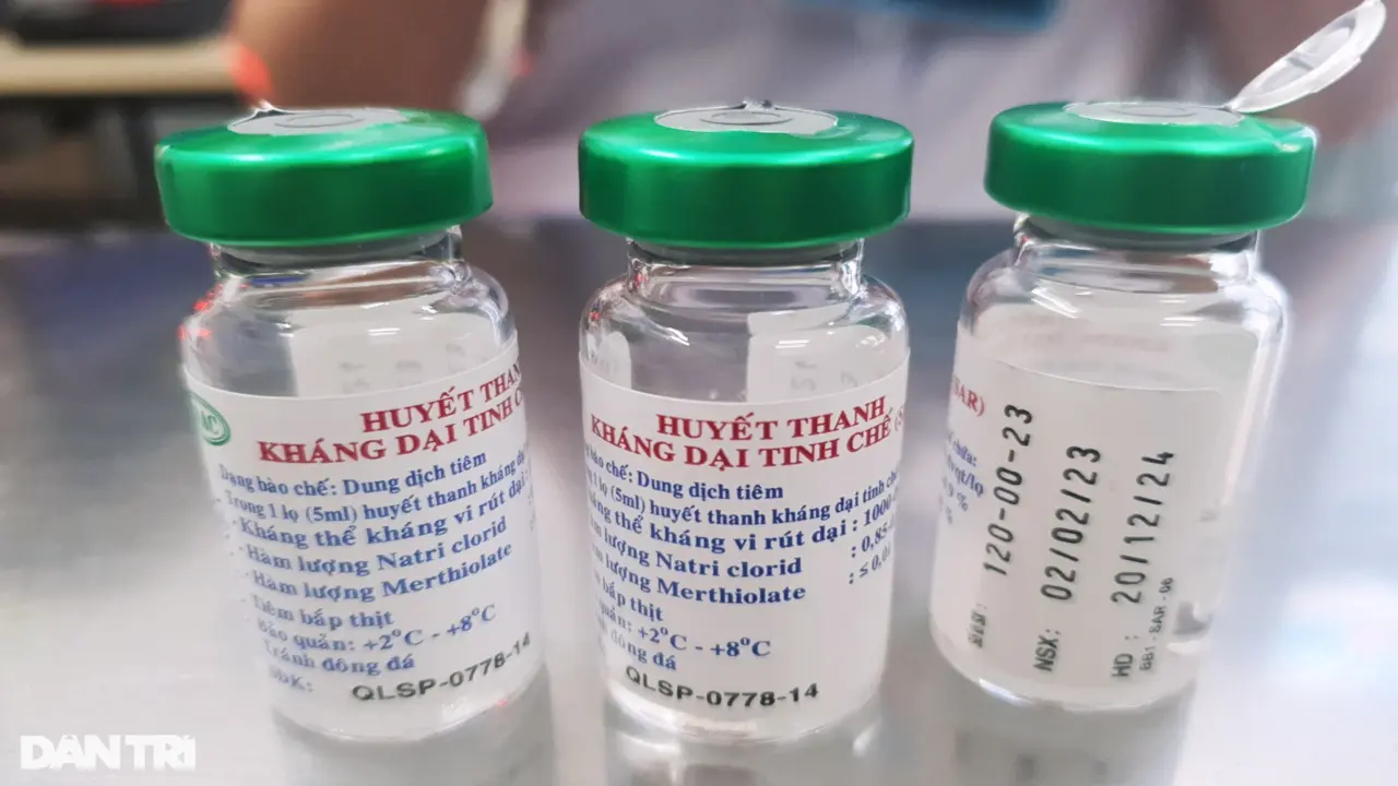 Một năm sau khi bị chó nhà cắn, cụ ông ở TPHCM phát bệnh dại