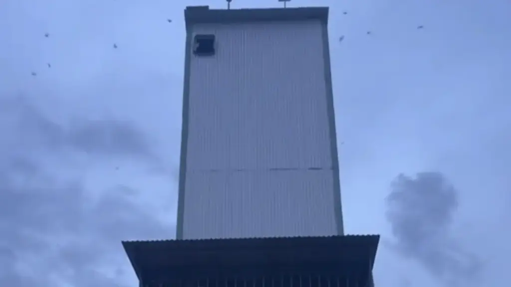 Nhà yến ở Gia Lai phát triển ồ ạt, nhiều người nuôi 'vỡ mộng'