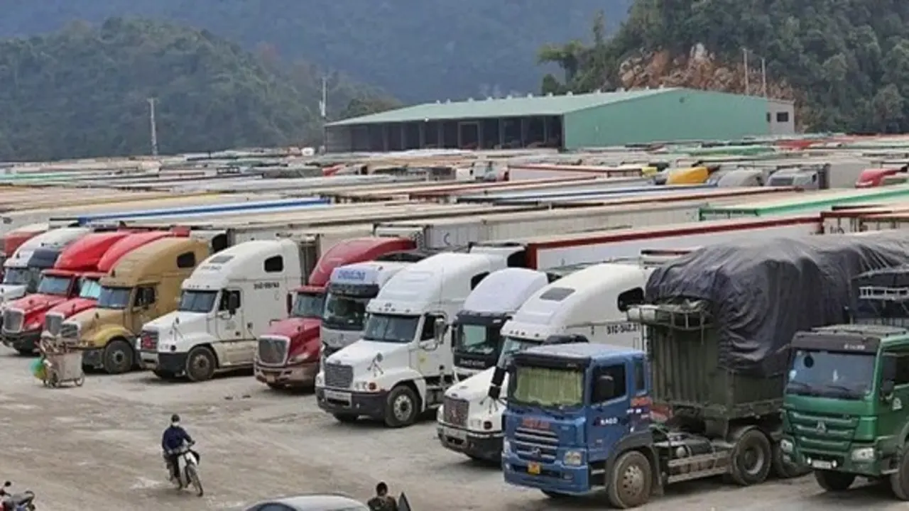 Nóng: Chính thức hoãn thi hành Nghị định 46