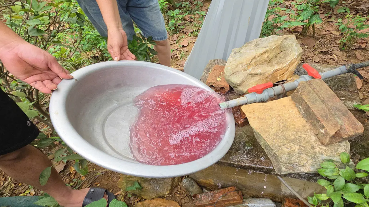 Nước giếng khoan đổi màu tím bất thường