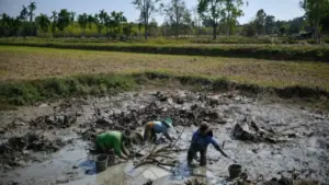 Thái Lan tăng tiền trợ cấp cho hơn 13 triệu dân