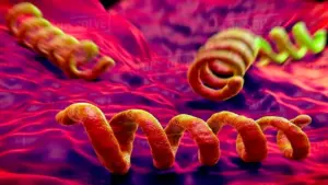 Thanh niên 20 tuổi mắc giang mai sau quan hệ với bạn tình