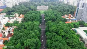 TP HCM sẽ chiếu sáng mỹ thuật công viên 30/4, Tao Đàn