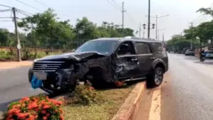 Trộm ô tô, lái xe gây tai nạn rồi... leo lên ngọn dừa trốn