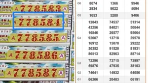 Xổ số miền Nam ngày 5 tháng 4: Dãy số độc đắc đài Tiền Giang trúng thêm 1 giải